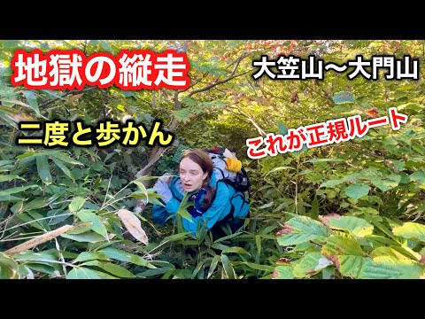 【地獄の縦走】二度とはゴメンだ!真の絶望を味わった、大笠山〜大門山縦走