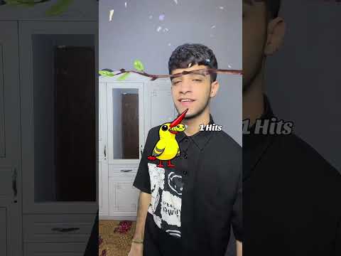 تحدي عصفور والدوده🐦‍⬛