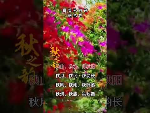 触景生情……诗意绵绵…… #心灵感悟 #禅意生活 吧……感谢订阅☕☕