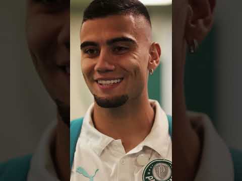 image para ilustrar o artigo