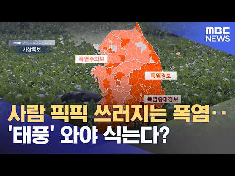 사람 픽픽 쓰러지는 폭염‥'태풍' 와야 식는다? (2026.07.29/뉴스투데이/MBC)