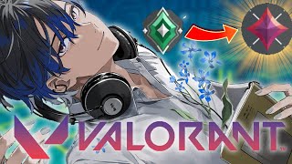 【VALORANT】いったんイモータルに行く配信 ascendant3~【青桐エイト/ネオポルテ】