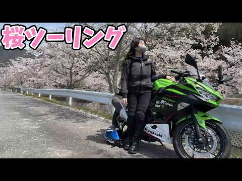 【兵庫ツーリング】満開の桜並木が神すぎた…🌸Ninja400で丹波篠山ツーリング【バイク女子】