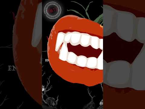 Markus Heitz: Die Schwarze Königin | Vampir-Fakt Nr. 5  | Droemer Knaur Fantasy Bücher