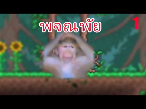 การพจณพัยTerraria1