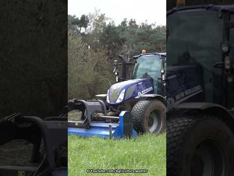 New Holland + Celli Pioneer + Votex | Mulching and Rotory Tilling Cover Crop | Blaauwendraat | 2023