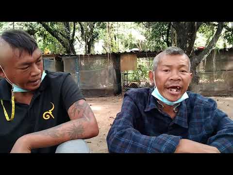 ลุงกับหลาน-คุยเรื่องงาน ลุงกับหลาน-คุยเรื่องงาน