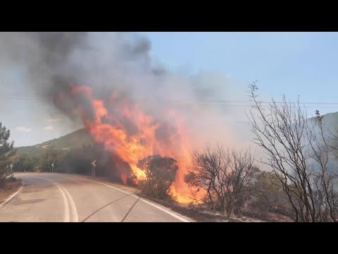 Properties, cemetery destroyed in northeastern Greece wildfire
