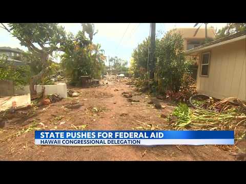 Hawaii delegates urge Trump to approve hurricane disaster aid