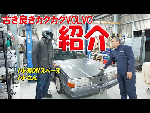 【レア車】ハトさんがまたクルマ買って見せに来た【クラシックVOLVO】