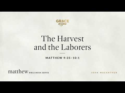 The Harvest and the Laborers (Matthew 9:35–10:1) [Audio Only]