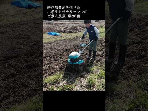 【2回目】農業ど素人の小學生とサラリーマンが耕作放棄地で農業始めたよ