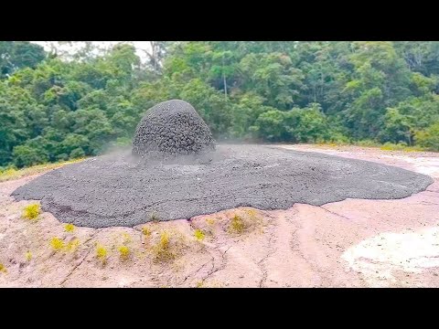 জীবনের ঝুকি নিয়ে করা সেরা কিছু ভিডিও ! যা আপনি জীবনে প্রথম বারের মত দেখতে চলেছেন !