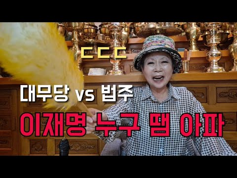 대무당 vs 법주 "이재명 <strong>누구</strong> 땜에 아파" ㄷㄷㄷ