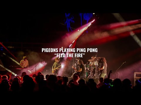 Pigeons Playing Ping Pong - Feed The Fire | El Ganzo Session