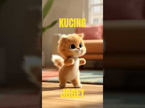 Kucing loncat. #cat #kucinganggoralucudanimut #catlovers #kucing