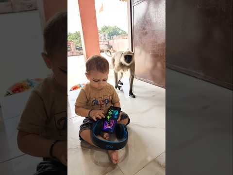 Ohh 🤯 लंगूर 🐒 हमारे <strong>Magic</strong> ✨ Mobile 📲 को ले गया 😱 #shorts #funny #<strong>ai</strong> #kochikevines #monkey