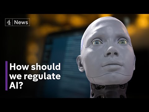Experts debate: how should AI be regulated?