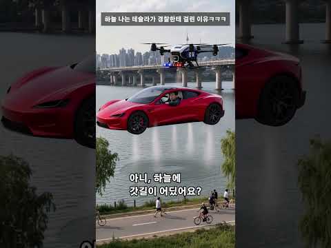 하늘 나는 테슬라가 경찰한테 <strong>걸린</strong> 이유ㅋㅋㅋ #shorts