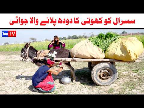 Noor Nazeer Susraal Ko Khoti Ka Dodh Pila New Funny Video | Most Comedy Funny Video | You Tv Hd 2026