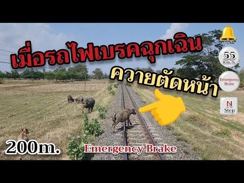 โครมมม..ควายตัดหน้ารถไฟระยะเบ