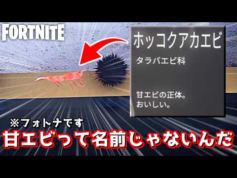豆知識を色々教えてくれる水族館が面白いんだがwww【Fortnite:フォートナイト】
