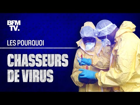 Chasseurs de virus : à la recherche de la pandémie de demain