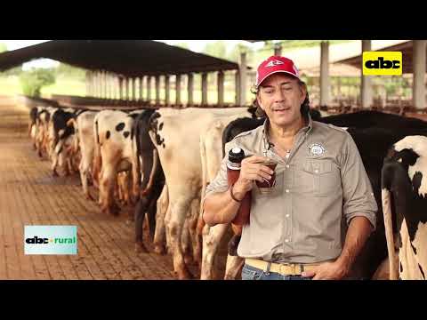 Importancia del tamaño de las vacas lecheras en Paraguay