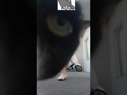 YOUTUBE FDP DEVOLVE OS COMENTÁRIOS EU NÃO SOU UMA CRIANÇA