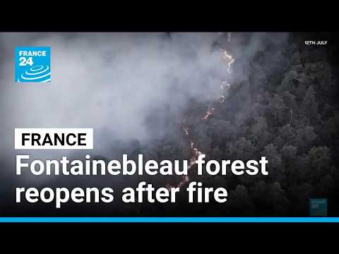 フランスのフォンテーヌブローの森、山火事から1か月で再開