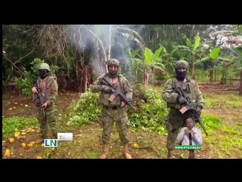 FF.AA hallan plantación de coca en Putumayo