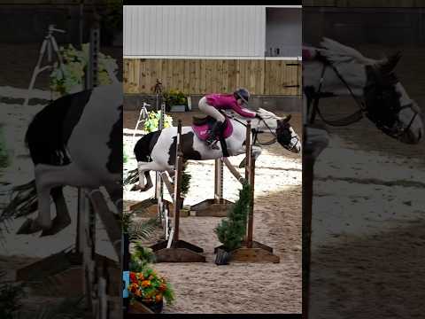 Thank you Arlo 😭 for taking me round my first Top Track 🥹 #horse #equestrian #pony #sports #animal