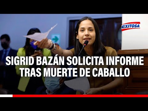Sigrid Bazán solicita informe a Mininter tras muerte de caballo