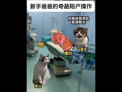 猫の動画サムネイル - 新手爸爸的奇葩操作，保大出来那一刻蚌埠住了#有趣 #猫meme #猫meme剧场 #猫meme小剧场 #内容过于真实  #故事 #貓 #猫猫meme小剧场 #喵不可言