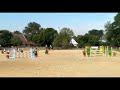 Show jumping pony Top Spring - Berktzicht Jacky