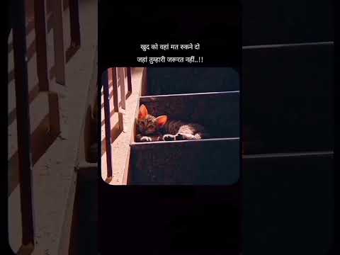 ,motivational quotes shorts#vidios#*,