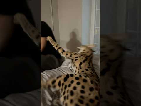 Самая неблагодарная доча на свете😱согласны ?