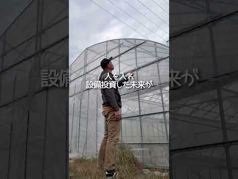 ミニトマトさん6年間ありがとう