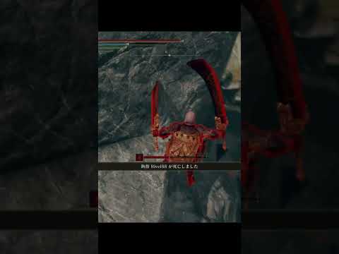 エルデンリング 地獄の侵入　ベルセルクガッツ風で強い奴いない説！  ELDEN RINGDLC #elden #eldenringdlc #ダクソ3