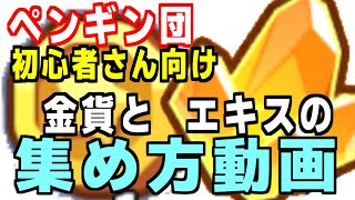 初心者さん向けにエキスと金貨の集め方を教えるよ