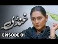 Ghundi - EP 01 Love, Grief, Deception - New Pakistani Drama