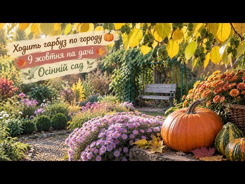 Ходить гарбуз по городу🍁 9 жовтня на дачі🍁 Осінній сад