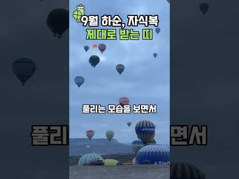9월 하순 자식복 제대로 받는 띠 💰🍀 #띠별운세 #풍수 #자식복