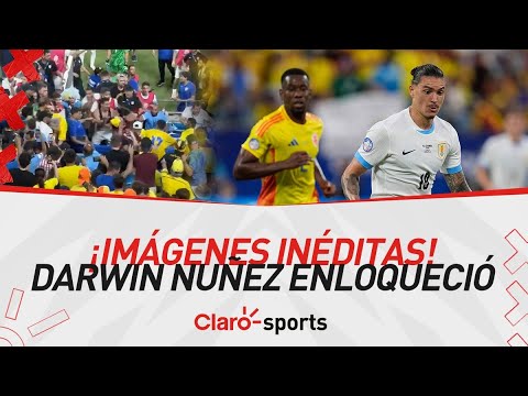 ¡Imágenes Inéditas! Darwin Nuñez enloqueció contra hinchas colombianos