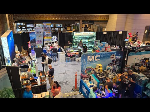 Reef stock Denver Sorry I missed so much in chat.  When live streaming from a phone directly to youtube chat does not 