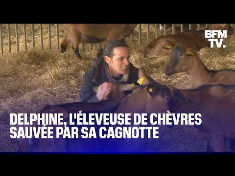 Delphine Serreau, l'éleveuse de chèvres sauvée grâce à une cagnotte