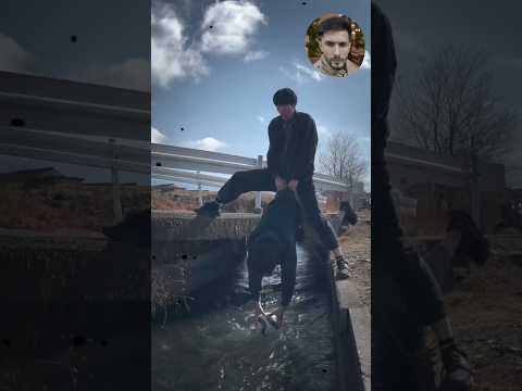 حمودي غدر علاوي ذبة بالنهر #اشبع_ضحك  😂