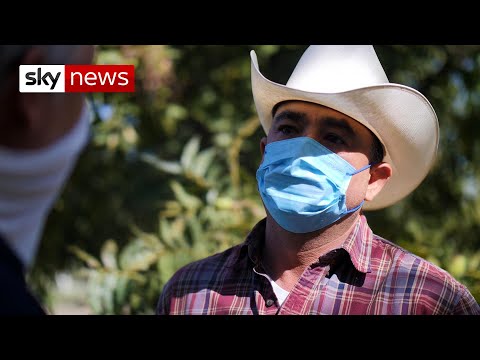Water wars: Mexican farmers fight for their future