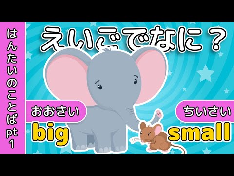 英会話 | えいごでなに？｜はんたいのことば| レッド キャットリーディング