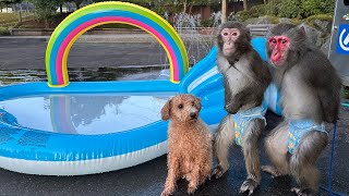 動画サムネイル